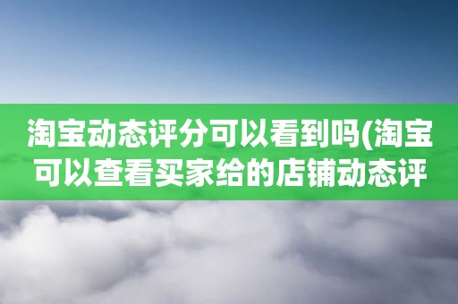 淘宝动态评分可以看到吗(淘宝可以查看买家给的店铺动态评分吗)