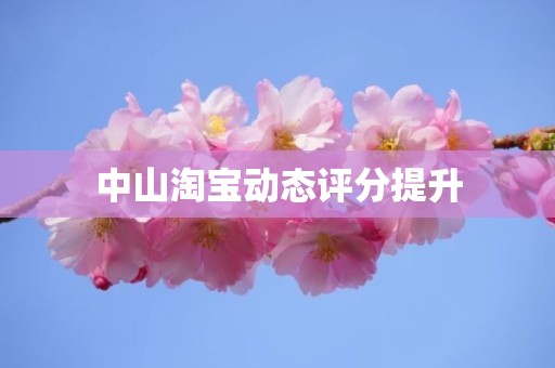 中山淘宝动态评分提升