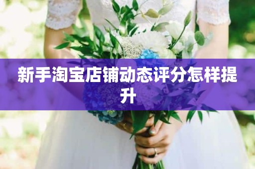 新手淘宝店铺动态评分怎样提升