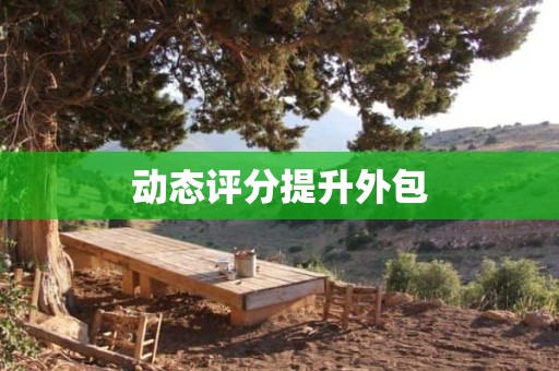 动态评分提升外包
