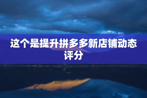 这个是提升拼多多新店铺动态评分