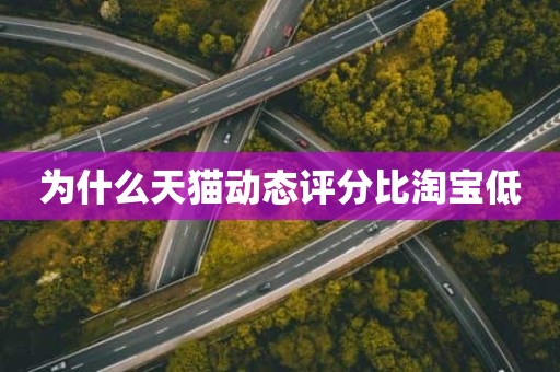 为什么天猫动态评分比淘宝低