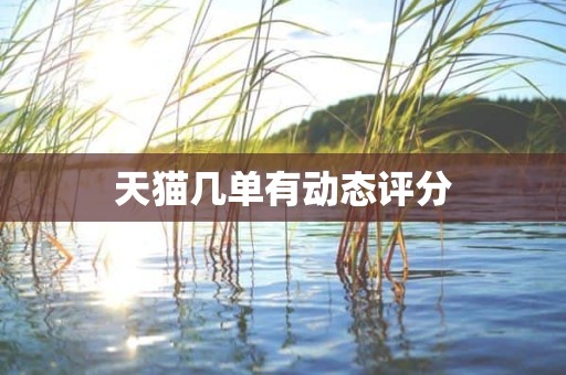 天猫几单有动态评分