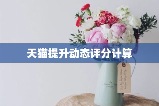 天猫提升动态评分计算