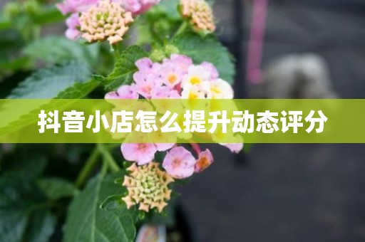 抖音小店怎么提升动态评分