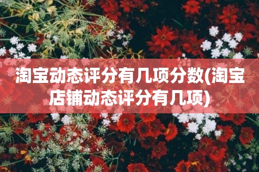 淘宝动态评分有几项分数(淘宝店铺动态评分有几项)