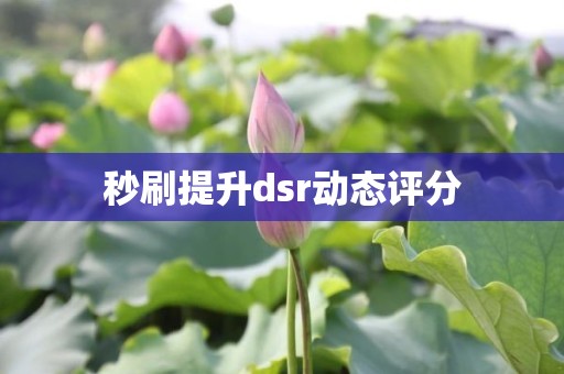 秒刷提升dsr动态评分