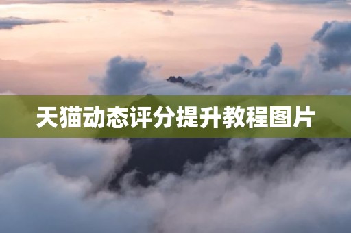 天猫动态评分提升教程图片