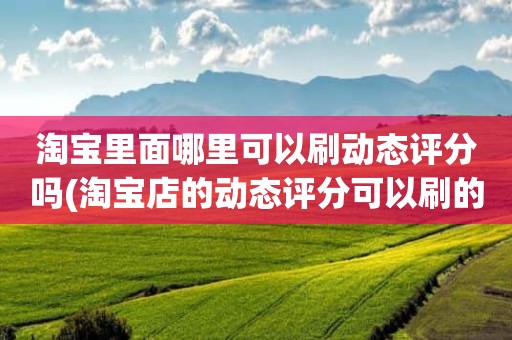 淘宝里面哪里可以刷动态评分吗(淘宝店的动态评分可以刷的吗)