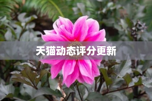 天猫动态评分更新