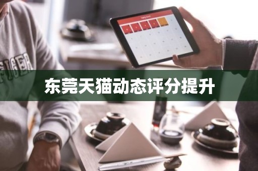 东莞天猫动态评分提升