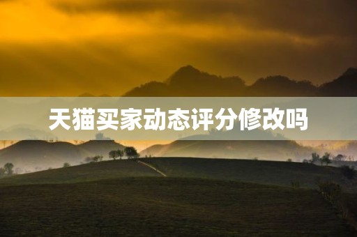 天猫买家动态评分修改吗