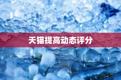 天猫提高动态评分