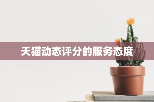 天猫动态评分的服务态度