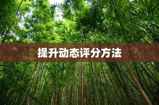 提升动态评分方法
