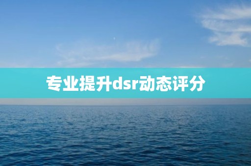 专业提升dsr动态评分