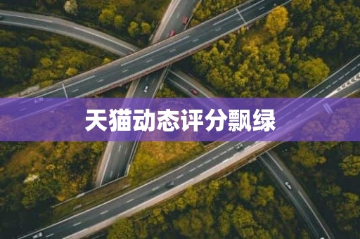 天猫动态评分飘绿