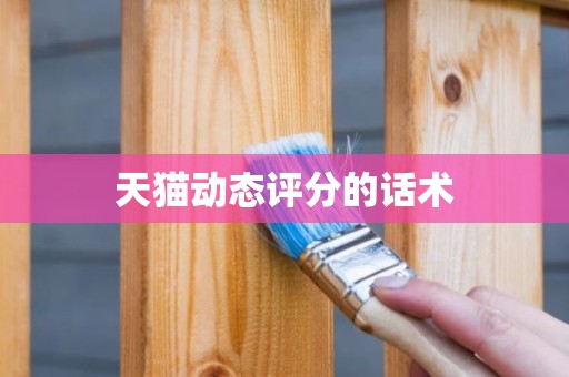 天猫动态评分的话术