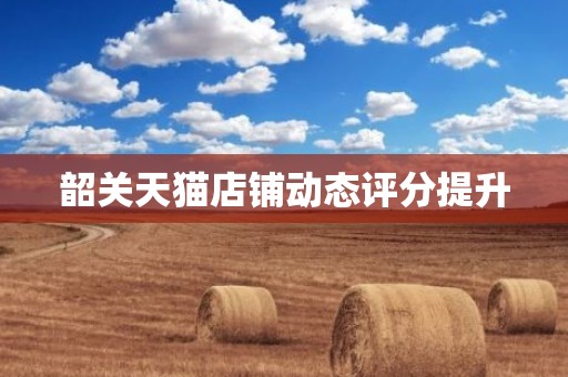 韶关天猫店铺动态评分提升