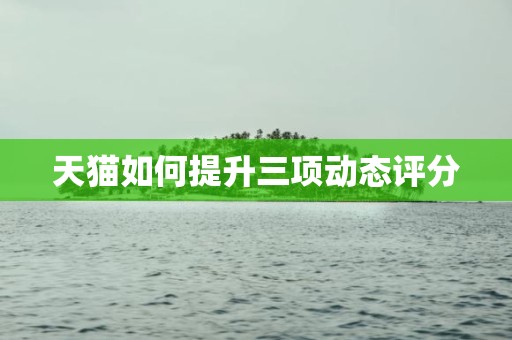 天猫如何提升三项动态评分