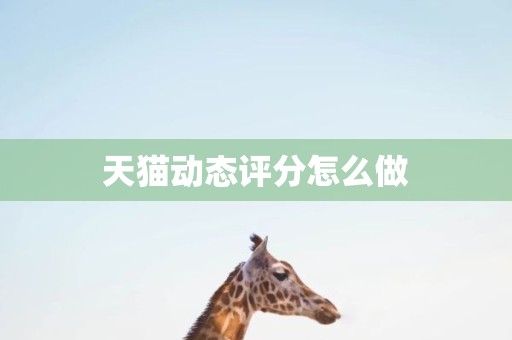天猫动态评分怎么做