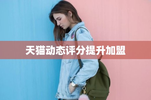 天猫动态评分提升加盟