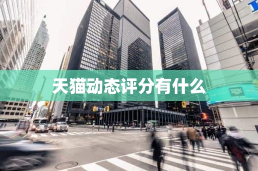 天猫动态评分有什么