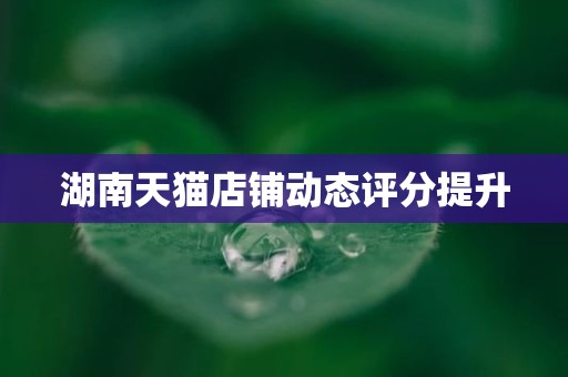 湖南天猫店铺动态评分提升