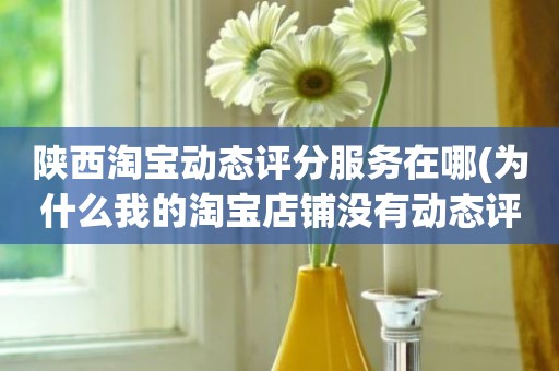 陕西淘宝动态评分服务在哪(为什么我的淘宝店铺没有动态评分)