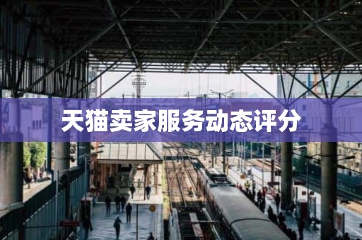 天猫卖家服务动态评分
