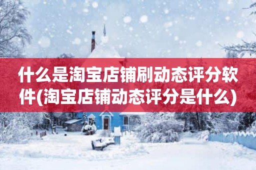 什么是淘宝店铺刷动态评分软件(淘宝店铺动态评分是什么)