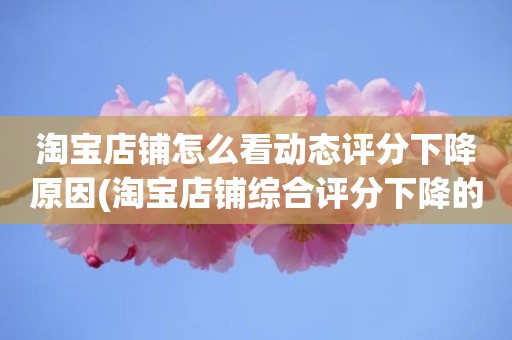 淘宝店铺怎么看动态评分下降原因(淘宝店铺综合评分下降的原因是什么)