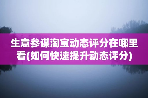生意参谋淘宝动态评分在哪里看(如何快速提升动态评分)