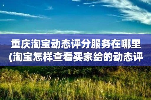 重庆淘宝动态评分服务在哪里(淘宝怎样查看买家给的动态评分)