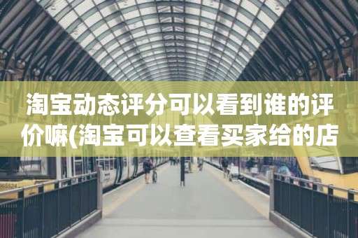 淘宝动态评分可以看到谁的评价嘛(淘宝可以查看买家给的店铺动态评分吗)