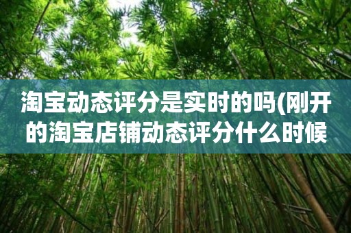 淘宝动态评分是实时的吗(刚开的淘宝店铺动态评分什么时候开始显示)