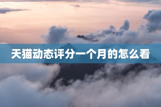 天猫动态评分一个月的怎么看