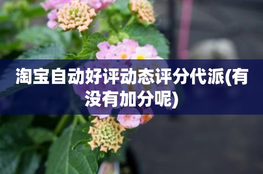 淘宝自动好评动态评分代派(有没有加分呢)
