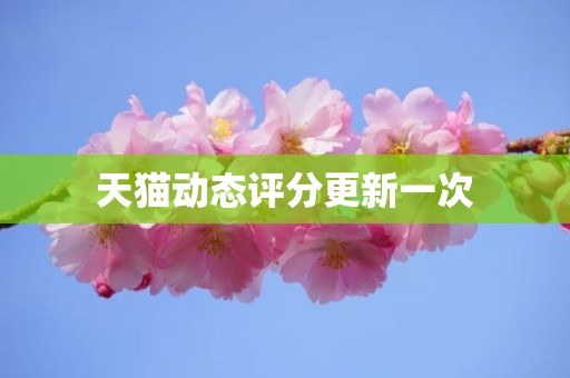 天猫动态评分更新一次