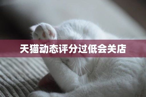 天猫动态评分过低会关店