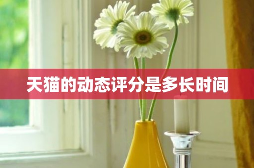 天猫的动态评分是多长时间