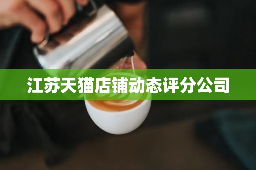 江苏天猫店铺动态评分公司