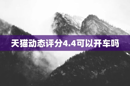 天猫动态评分4.4可以开车吗