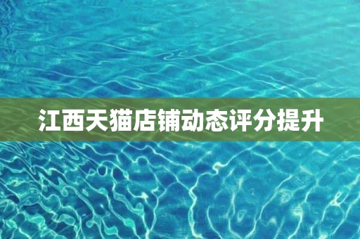 江西天猫店铺动态评分提升