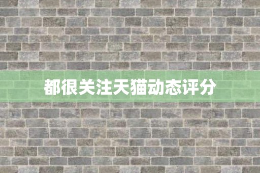 都很关注天猫动态评分