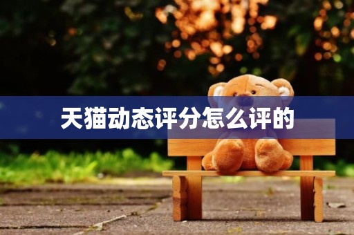 天猫动态评分怎么评的