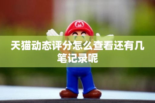天猫动态评分怎么查看还有几笔记录呢