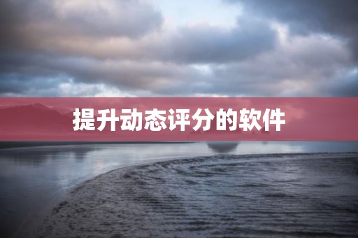 提升动态评分的软件