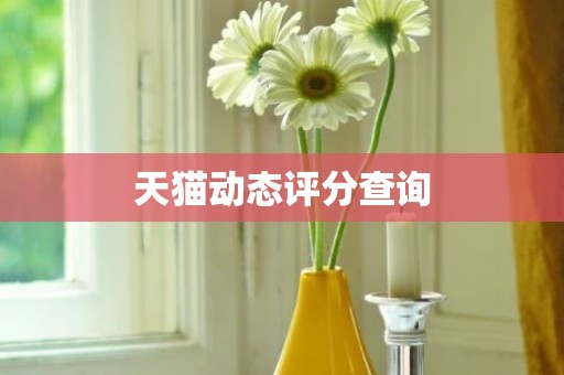 天猫动态评分查询