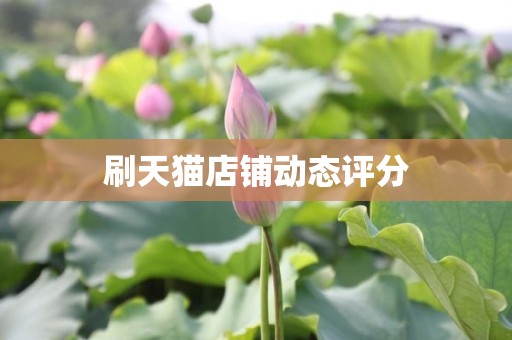 刷天猫店铺动态评分